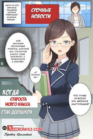 Порно комикс Когда староста моего класса стал девушкой. When My Class Rep Became a Girl. Rudy Saki