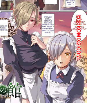 Порно комикс Особняк в Лесу