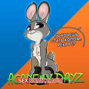 Порно комикс Зверополис. Дни в академии. Часть 1. Academy Dayz. Siroc.